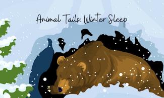 Bear hibernating in snow illustration