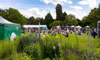 A view onto the main lawn with stalls and visitors enjoying the sun.