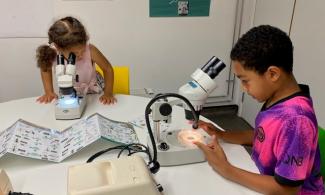 Children looking under microscopes