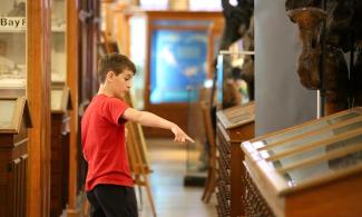 A child in a red t-shirt points towards a wooden cabinet at the Sedgwick Museum