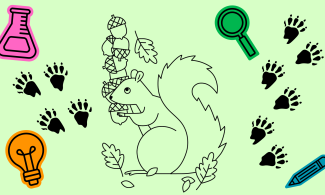 Illustration of a squirrel with pawprints