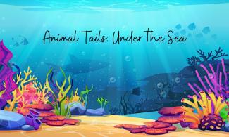 Illustration of coral sea bed