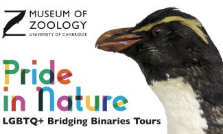 Photo of penguin with LGBTQ+ text