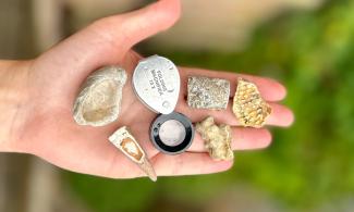 A close-up of a person’s outstretched hand holding a small collection of objects, including rocks and a magnifying lens labeled metal folding magnifier. The rocks vary in shape, texture, and color—some appear crystalline or fossil-like. The background is softly blurred, showing earthy tones and green foliage.