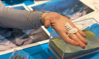 Models and fossil casts of Earth's earliest animals are placed on a table, trilobites and anomalocaris are discernible. An upturned hand is holding a white model of a trilobite, as if for someone else to look at it.