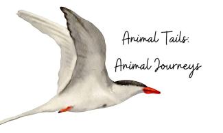 Illustration of a bird flying