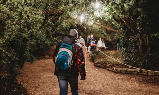 A person walks through a woodland at night, illuminated by white lights in the trees