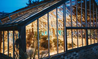 A glasshouse lit from the inside at dusk, housing a range of cactus and other plants.