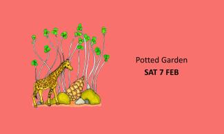 A illustration of a giraffe, with rocks, a large pinecone and tall cress with a peach coloured background. The text reads Potted Garden Sat 7 Feb.