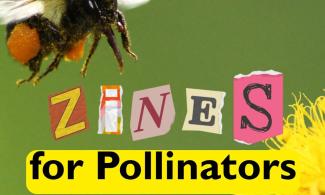 Letter torn from a magazine saying Zines for Pollinators