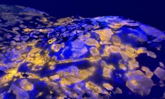A close-up image of a rock under ultraviolet light with a black background. Patches of minerals in the rock are glowing orange and purple. 