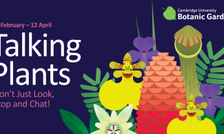 Illustrated event poster titled “Talking Plants” for Cambridge University Botanic Garden, showing stylised colourful flowers and carnivorous plants, with dates 11 February to 12 April and the text “Don’t Just Look, Stop and Chat!”