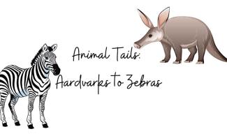 Illustration of an aardvark and zebra on a white background