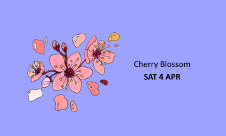 Illustration of cherry blossoms with scattered petals on a purple background. Text reads "Cherry Blossom SAT 4 APR".