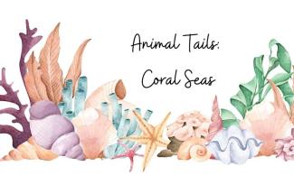 Illustration of corals on a white background