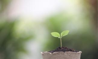 A small green plant with two leaves, set in a biodegradable pot filled with soil. The background is soft and blurred with green and light hues, suggesting an outdoor environment. Sunlight gently illuminates the plant, highlighting the delicate water droplets on its leaves.