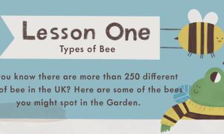 Illustration of a bee and a frog wearing a bee costume against a blue background. The text reads: "Lesson One: Types of Bee. Did you know there are more than 250 different types of bee in the UK? Here are some of the bees you might spot in the Garden." A ruler and flower are also depicted.