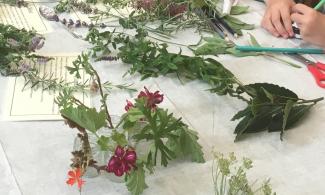 Image of purple flowers and green foliage on a white table cloth