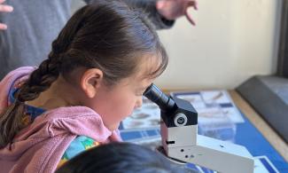 A child in a pink cardigan visiting the museum looks down the lens of a microscope at some tiny fossils.