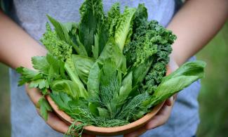 A child holds a pot of different herbs and greens.