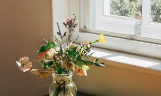 A bouquet of flowers on a sunny windowsill at Kettle's Yard.
