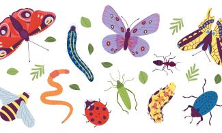 Various stylized insects and bugs are illustrated, including butterflies, a caterpillar, an ant, a bee, a ladybug, beetles, and a worm. Green leaves are scattered among them. The colours are vibrant and varied.