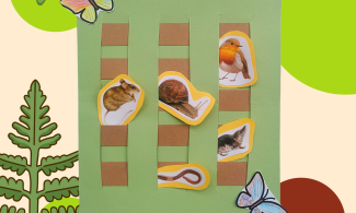 A brown and green field has been woven out of paper strips. Tucked into different areas of the meadow are photo images of a mouse, snail, worm, shrew and robin, thse have been backed on coloured card. Two corners of the meadow have paper butterflies which have been coloured in 