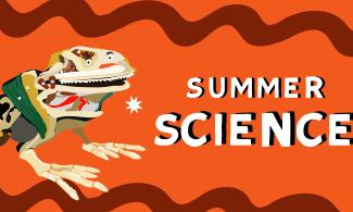 Summer Science graphic featuring a anatomical model of a frog that can be found at the Whipple Museum, on a orange background.  