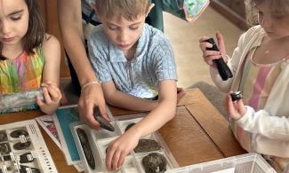 Three children in the museum are exploring fossil specimens. On the left, a child in a rainbow coloured dress holds a T-rex tooth as long as their forearm. In the middle a child in a blue top reaches for another fossil to hold, and on the right a younger child shines a torch on a vertebra fossil and inspects it carefully. 