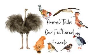 Illustration of 7 birds around the text, 'Animal Tails: Our feathered friends' 