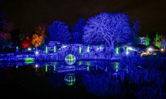 A lake at night which features a disco ball in its centre, surrounded by blue lights and illuminated trees.
