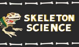 Skeleton Science logo on a black ground, with a graphic bone border and a skeletal frog. 