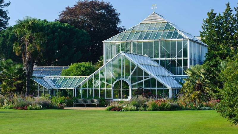 The greenhouse in the sun