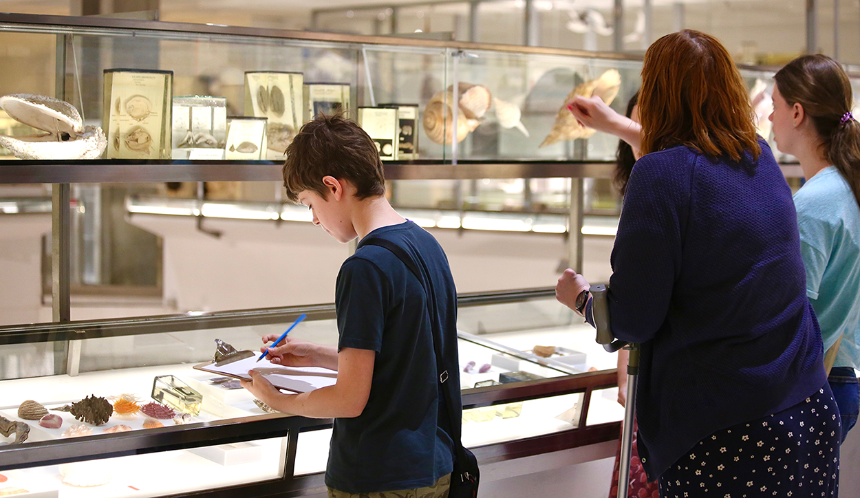 Three people stand and look at glass cases at the Museum of Zoology. The young boy writes on a clipboard.