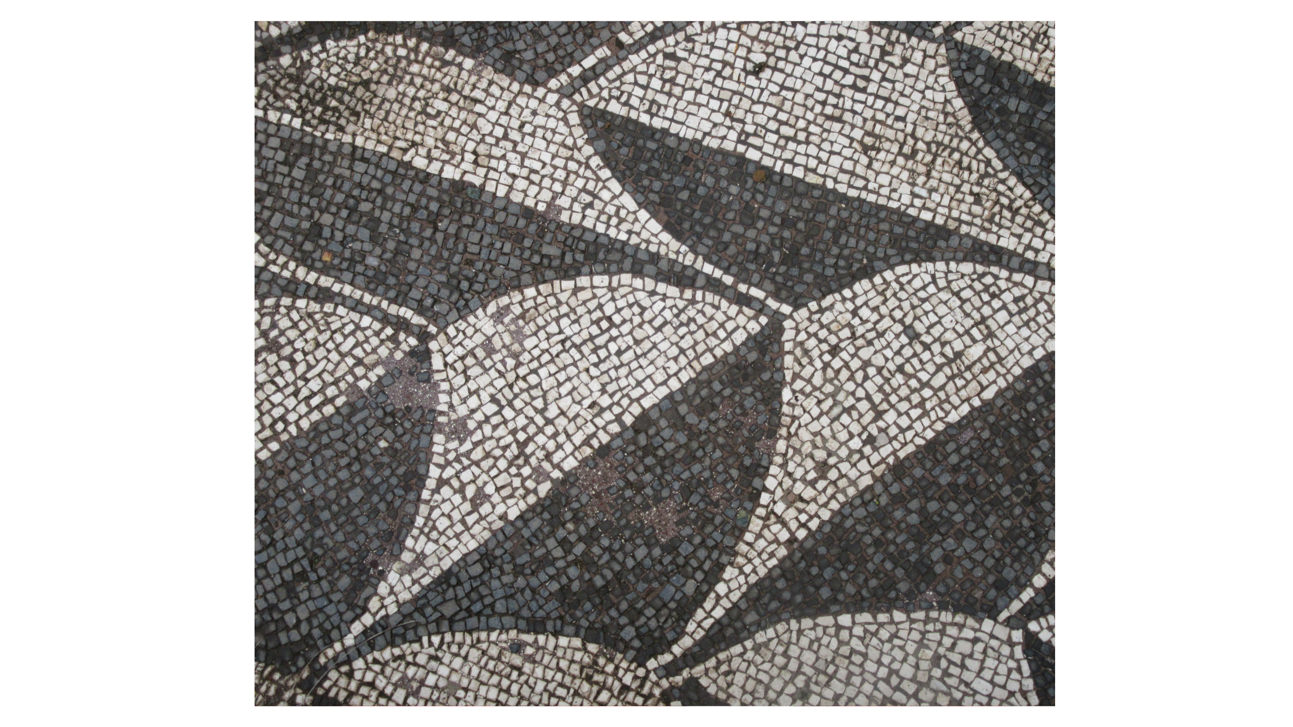 close up of black and white geometric mosaic at the Baths of Caracalla