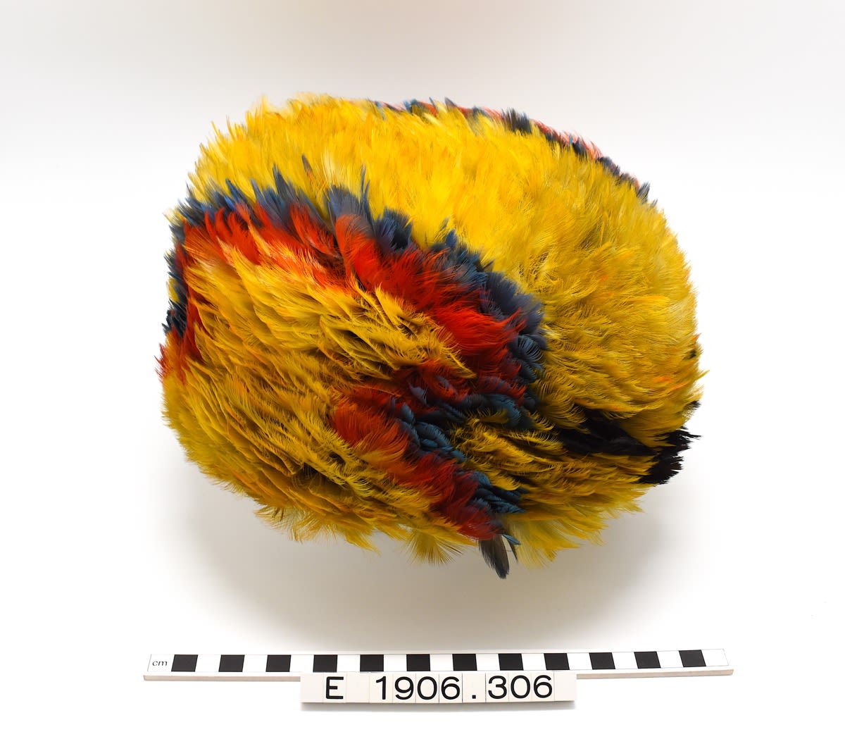 Feathered cap. Bright yellow feathers, making up most of the headdress, have been attached to a foundation of string netting, and red, blue, and black feathers added on either side in a line pattern.
