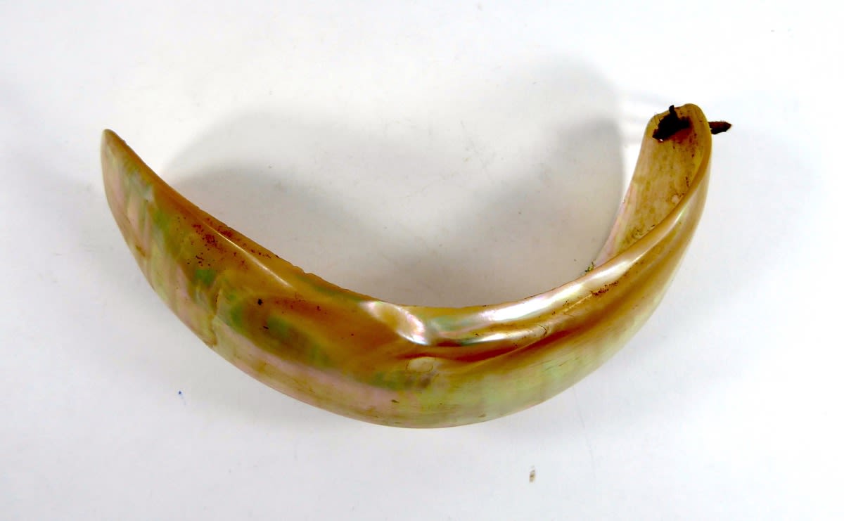 A curved shell ornament, about 6 inches long, pierced at one end. From a green-snail shell, it is a yellowy-brown colour, with glistening iridescence and hints of green showing through.
