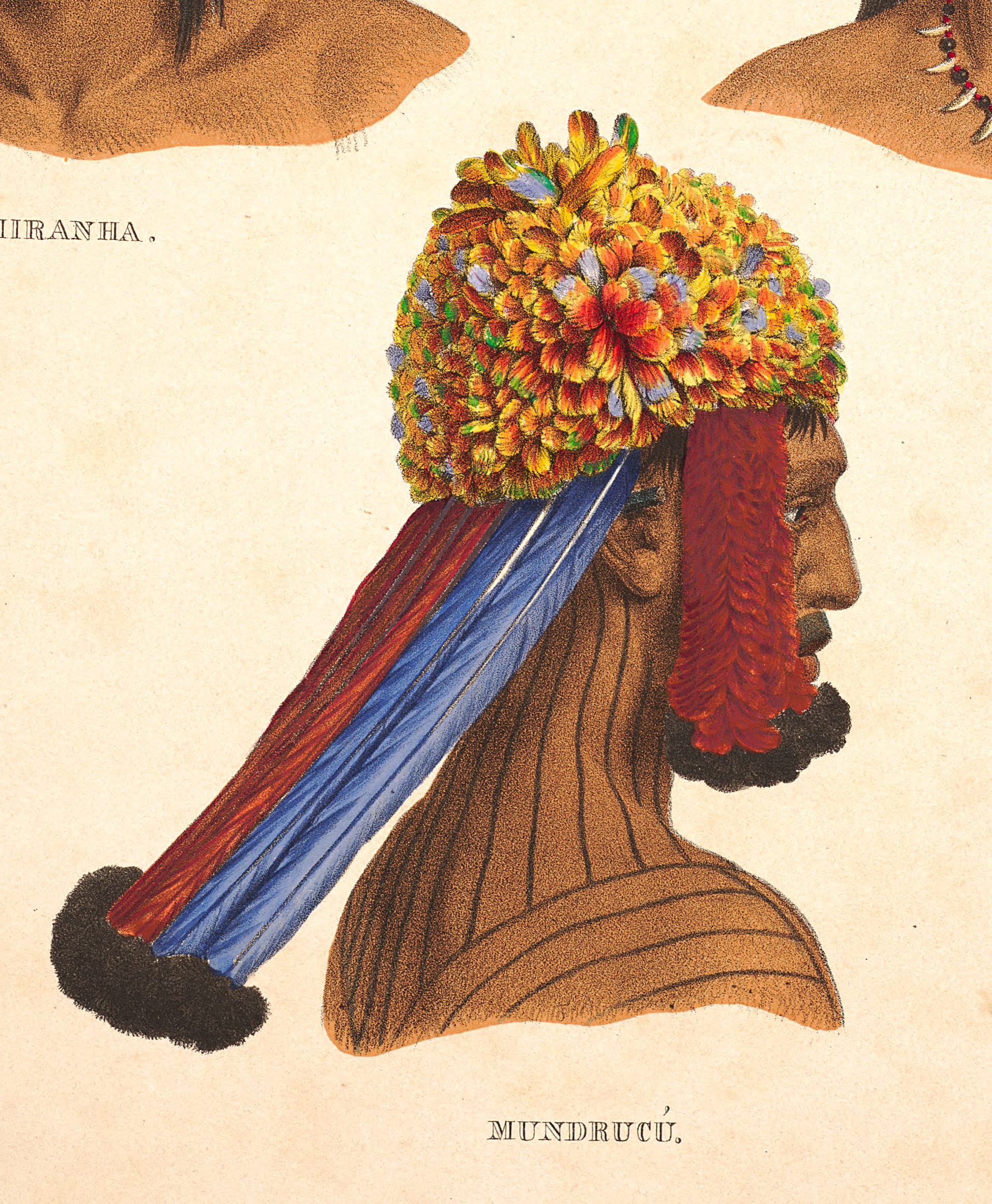 Lithograph drawing of a man, facing away, with black line tattoos down his neck and back. He is wearing a headdress with yellow feathers and dots of blue and red, with a red sidepiece and red and blue plume down the back of his neck. It is titled 'Munduruku', and the corners of other illustrations on the same page are visible above, although not in any detail.