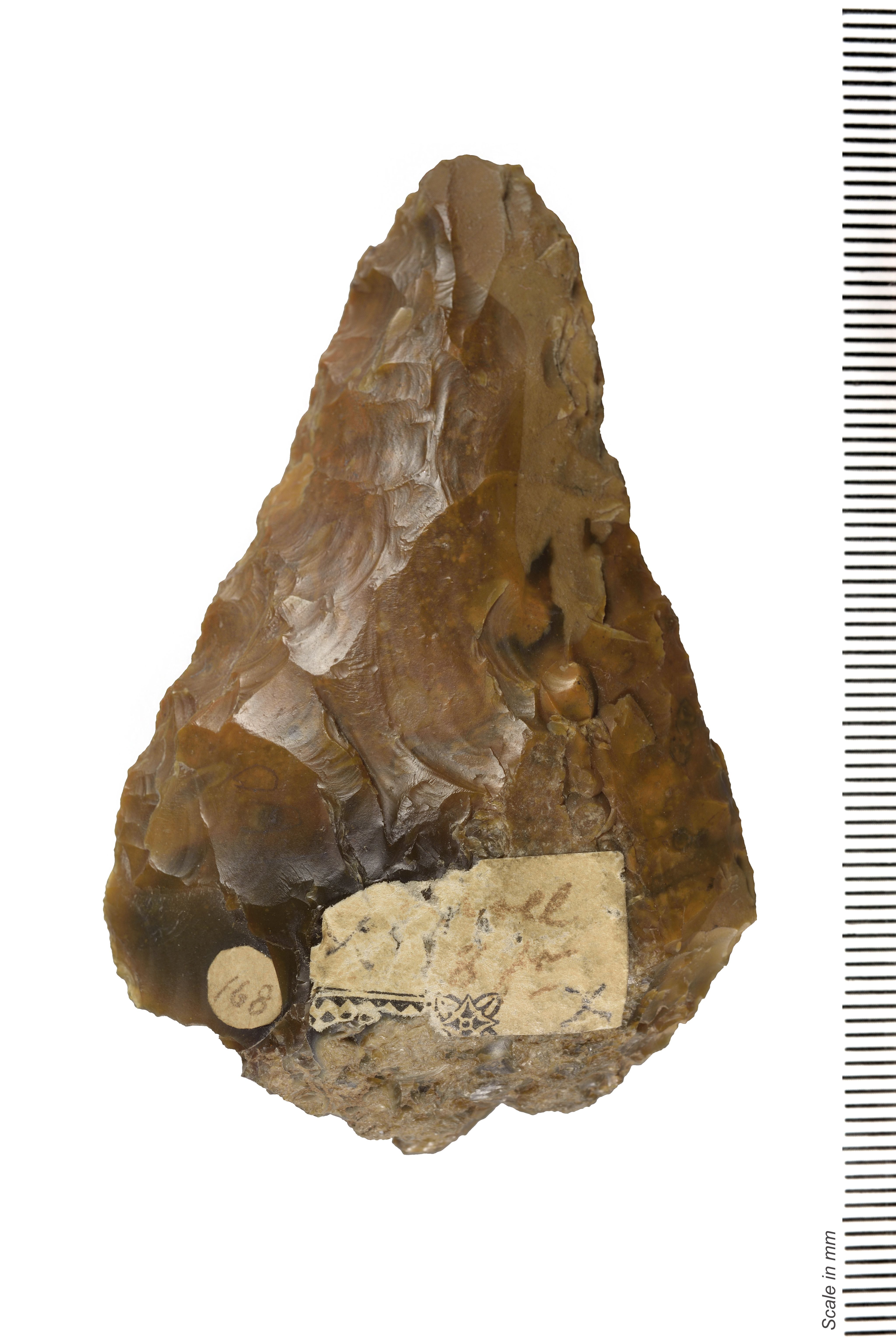 Back view of the same handaxe, with more chip marks and a slightly rougher view. A paper label has been attached at the bottom at some point, with handwritten words highly faded.