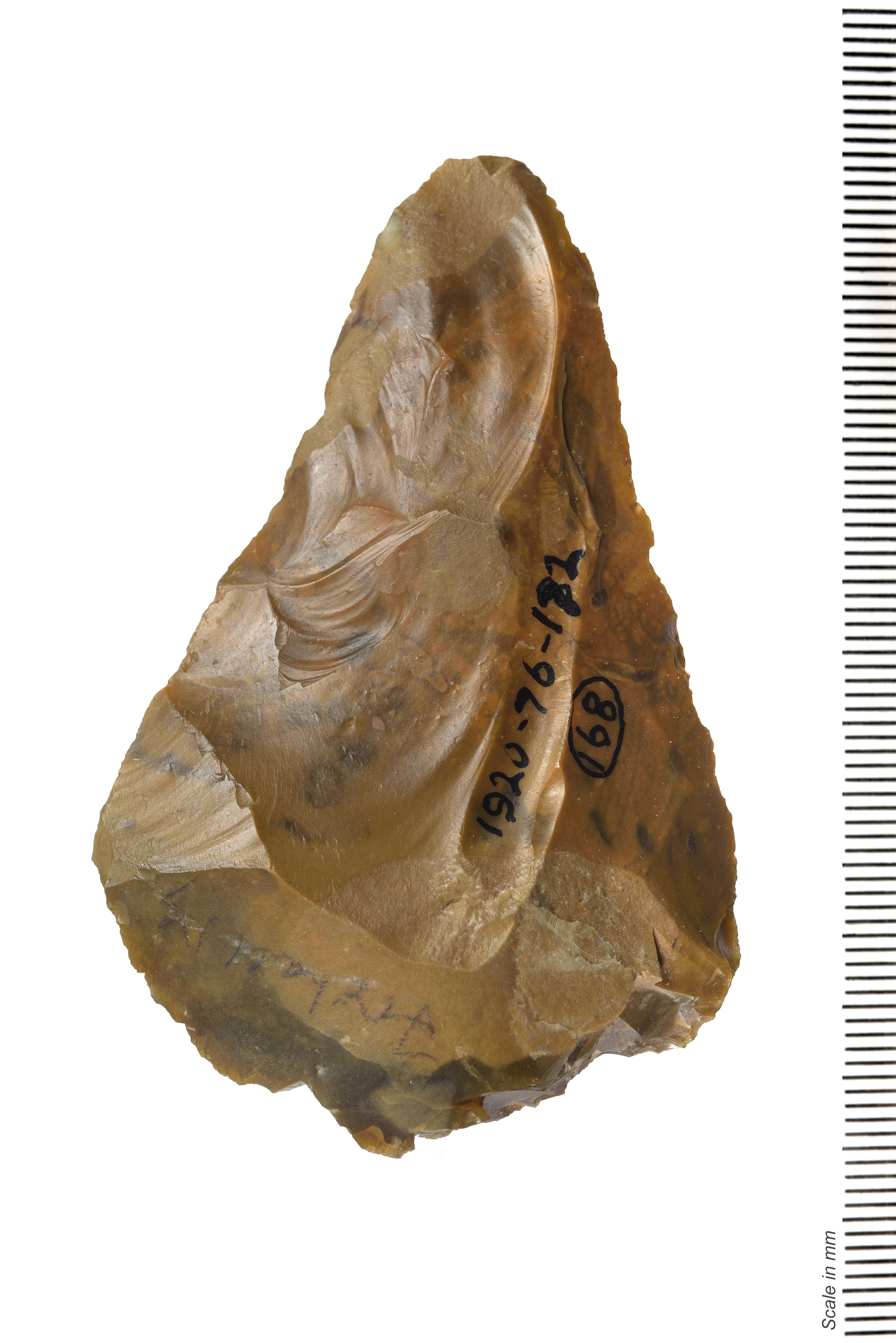 The front view of a handaxe, shaped for a hand, with a rounded point at the tip. The stone is a rich golden brown, with visible areas where you can see where it has been chipped away at. An accession number has been added in black pen.