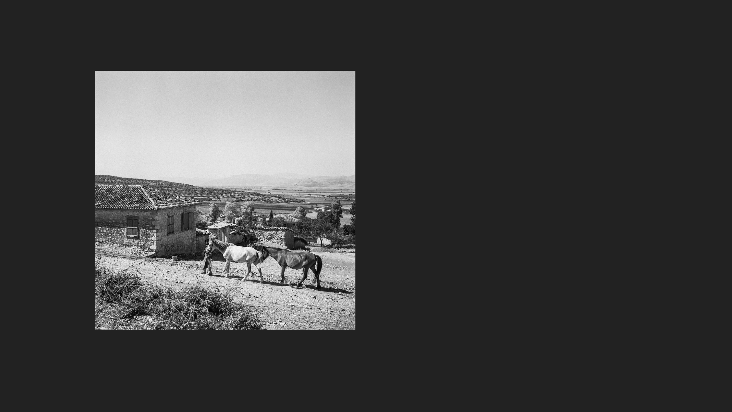 A woman lead horses through a rural village.