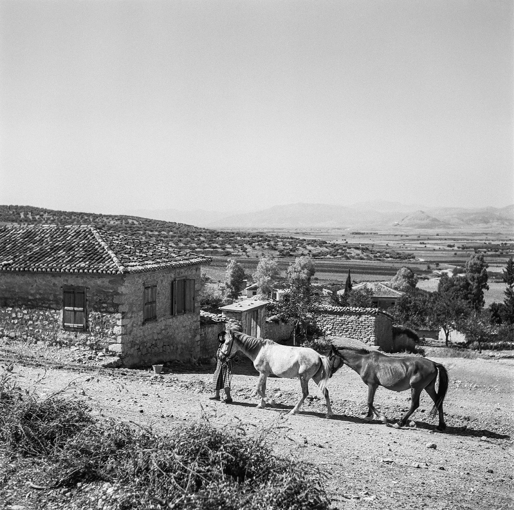 A woman lead horses through a rural village.