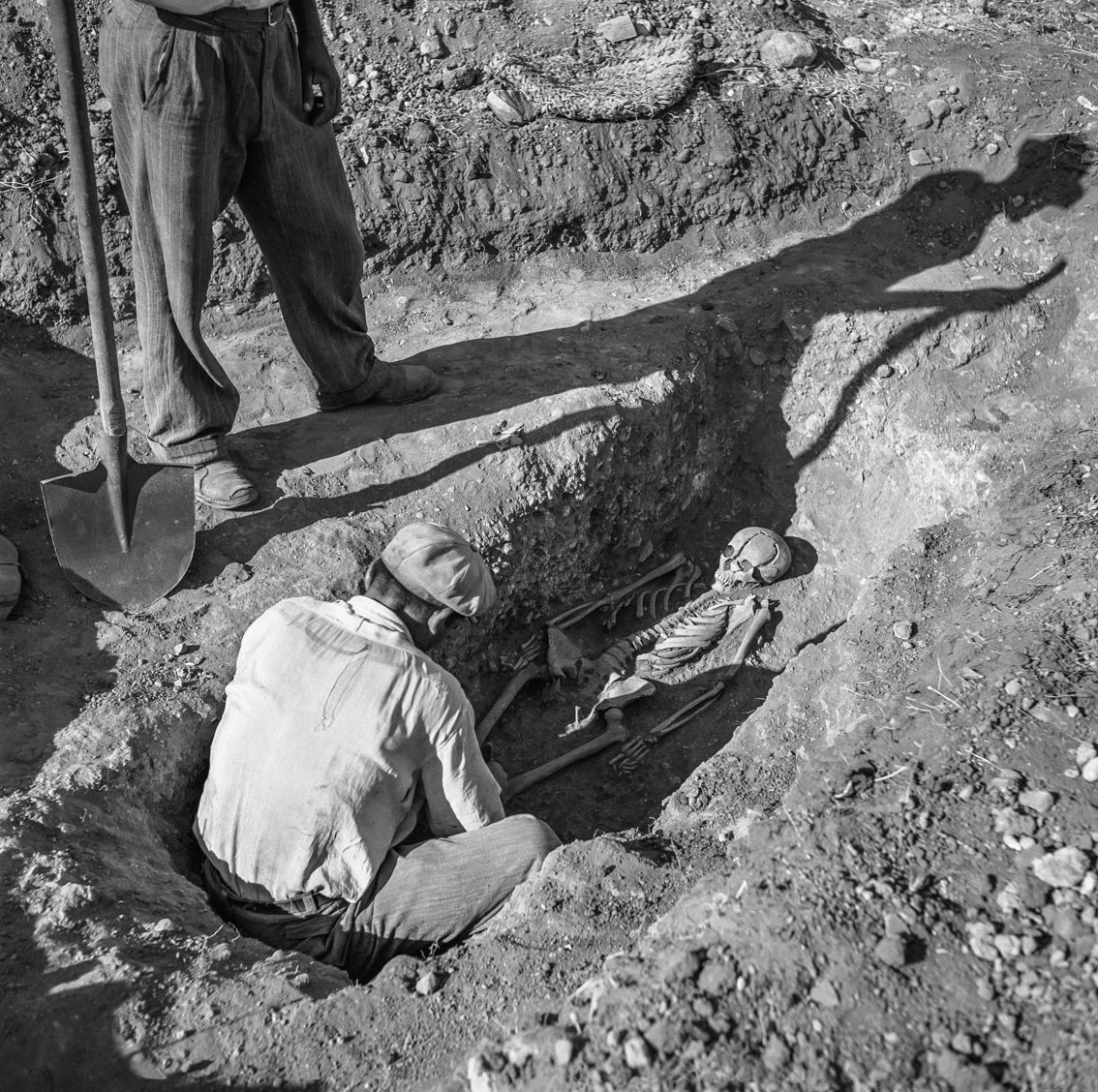 A man carefully excavated an ancient skeleton