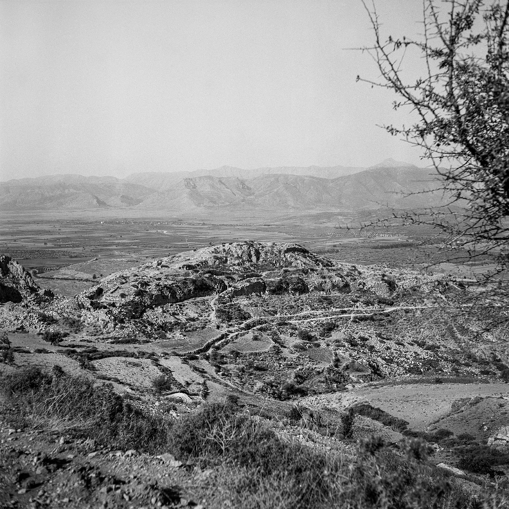 A view of the landscape