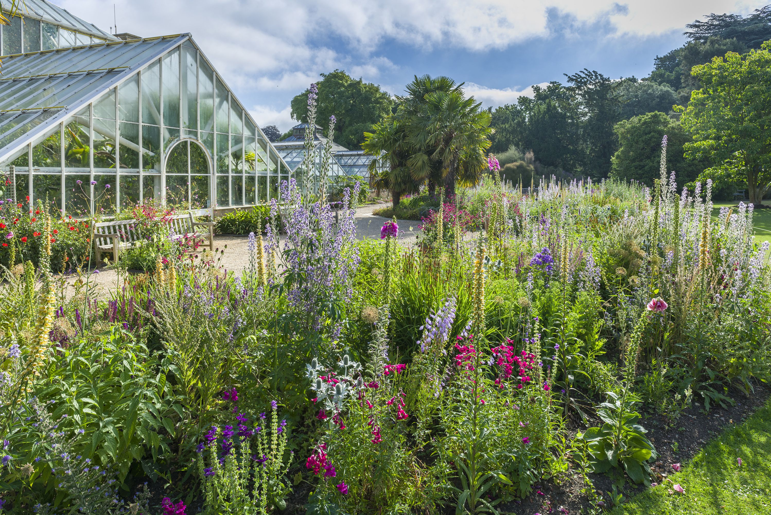 The glasshouse and an abundance of tall flowers at the Cambridge University Botanic Garden on a summer's day.