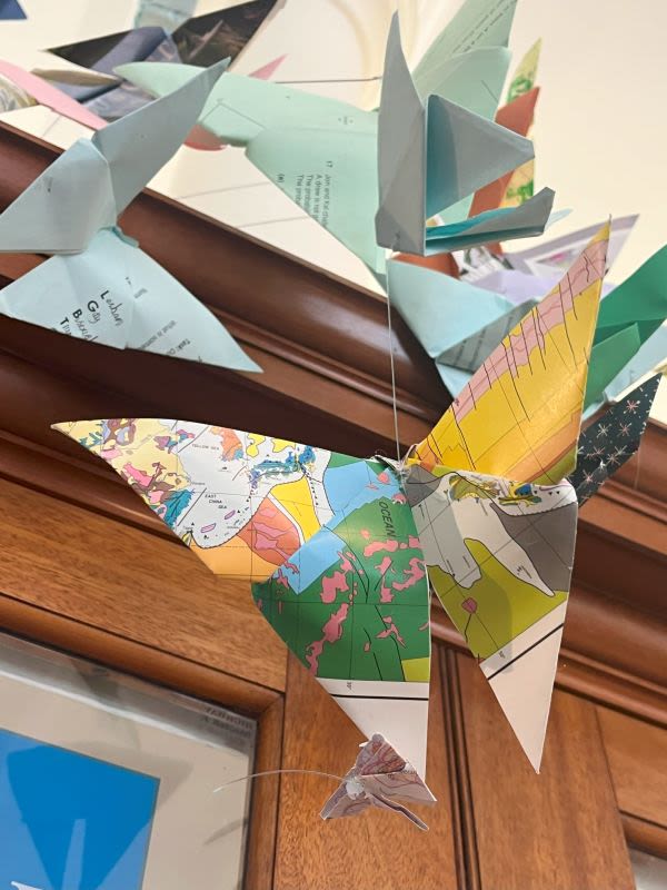 Origami butterflies made from map paper hanging from the ceiling at the Sedgwick Museum in front of a wooden display case.