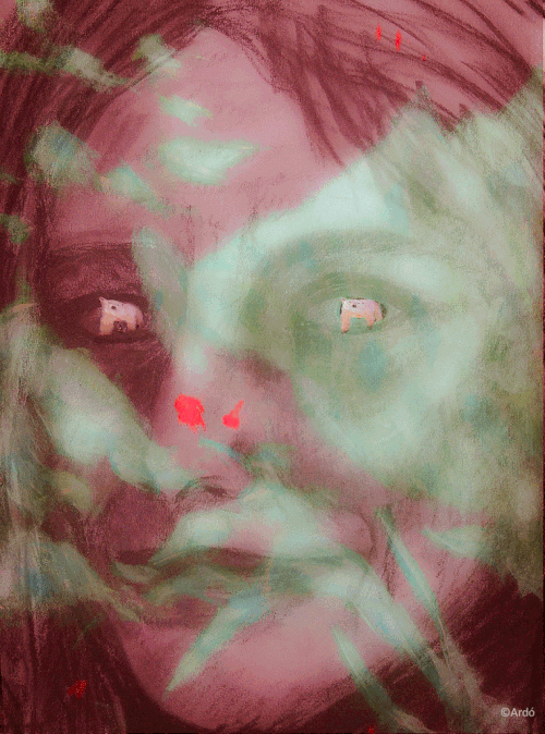 Stylised portrait of a woman's face. Closer inspection over her eyes reveals the silhouette of a polar bear in each.