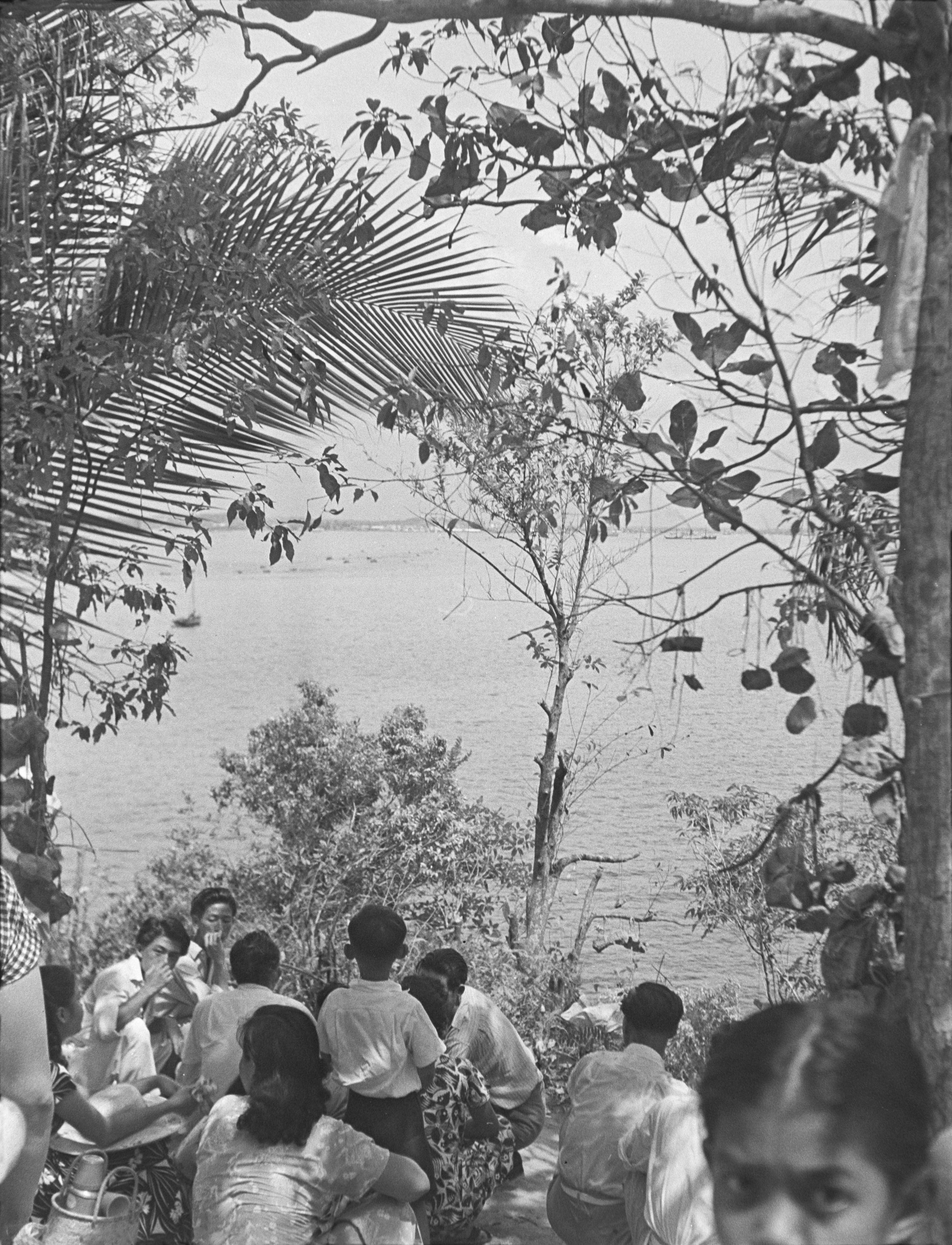 A group of people is seated in the foreground, apparently eating a picnic, and on the right a young girl looks directly towards the camera. Rocks are tied with ropes and hanging at the bottom of the tree.