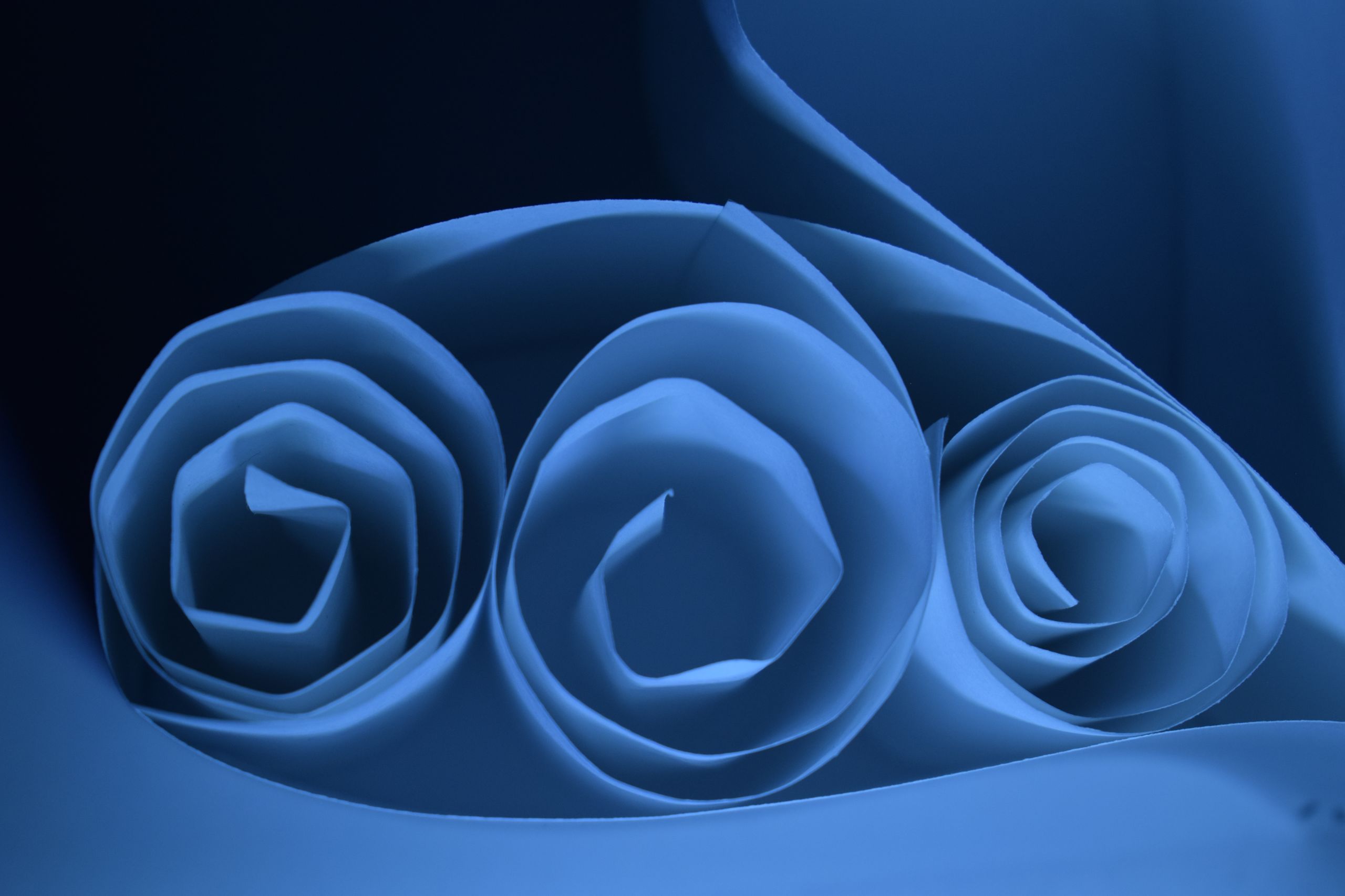 Rolled up pieces of paper with the ends facing up, lit by a blue light.