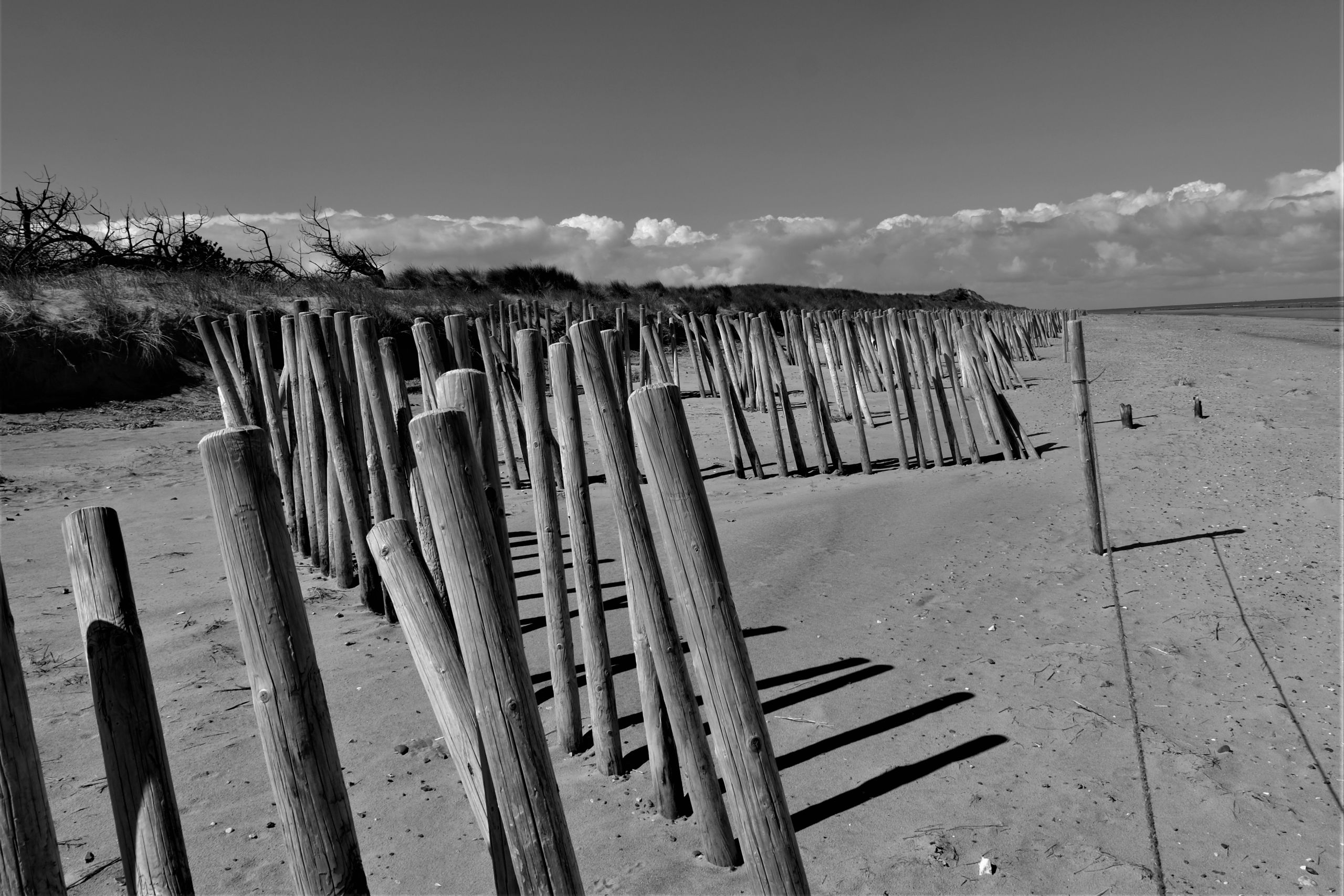posts on the beach taken at Old Hunstanton
